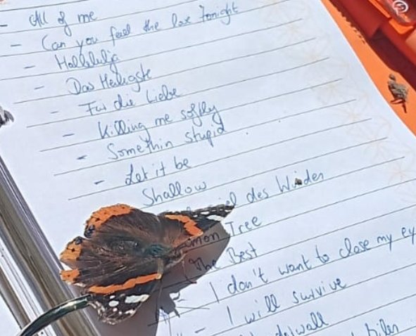 Schmetterling auf Setliste von Sängerin Nicole Steinmann – Live-Gesang Lippe